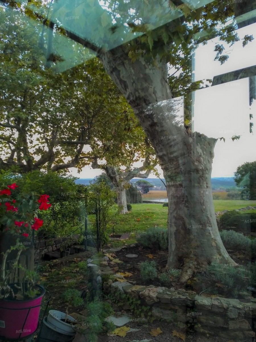 Domaine des Grands Esclans - zza okna kantyny