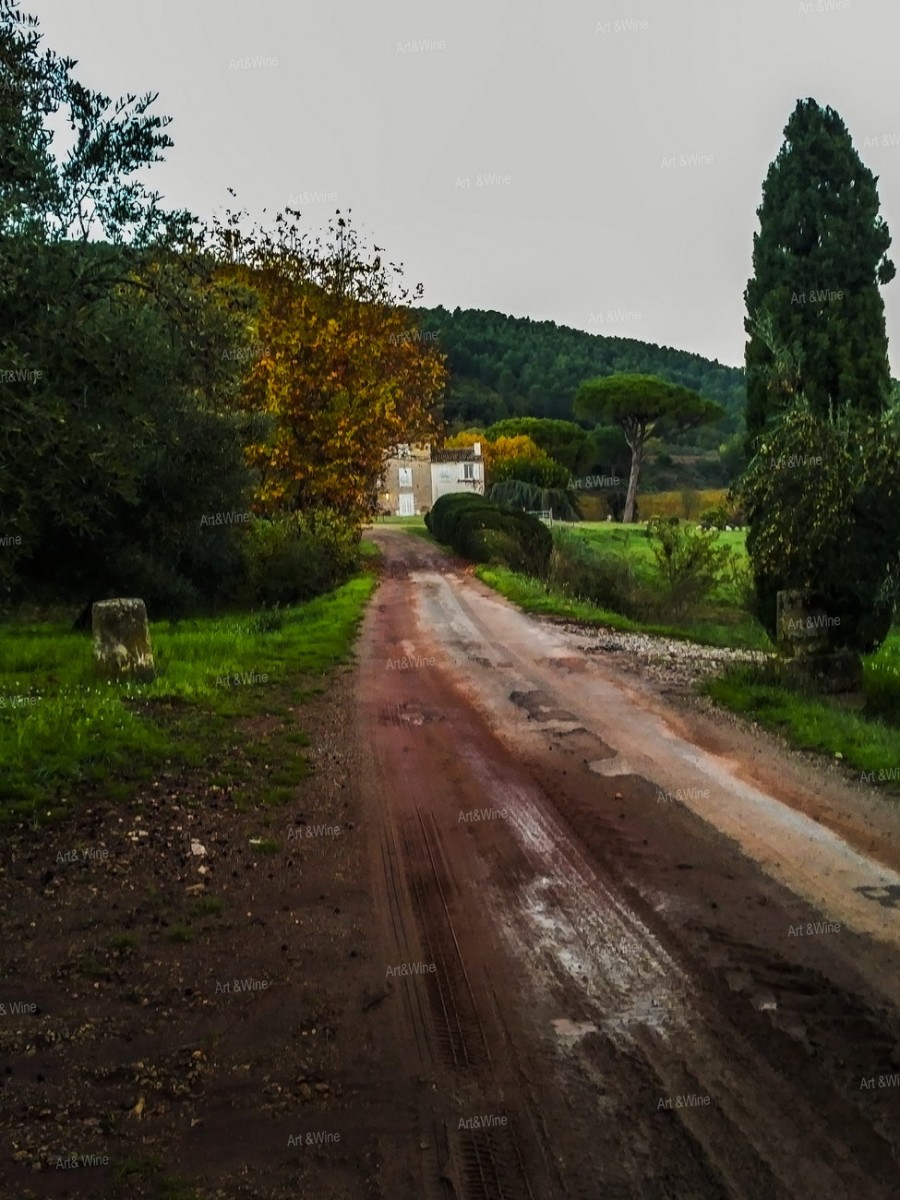 Domaine des Grands Esclans - czerwone drogi